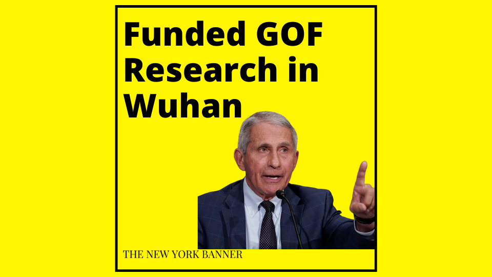 NIH & Fauci’s GOF Research - The Lies - The New York Banner