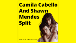 Camila Cabello And Shawn Mendes Split
