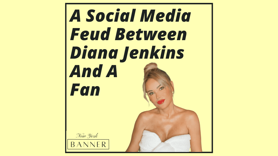 A Social Media Feud Between Diana Jenkins And A Fan