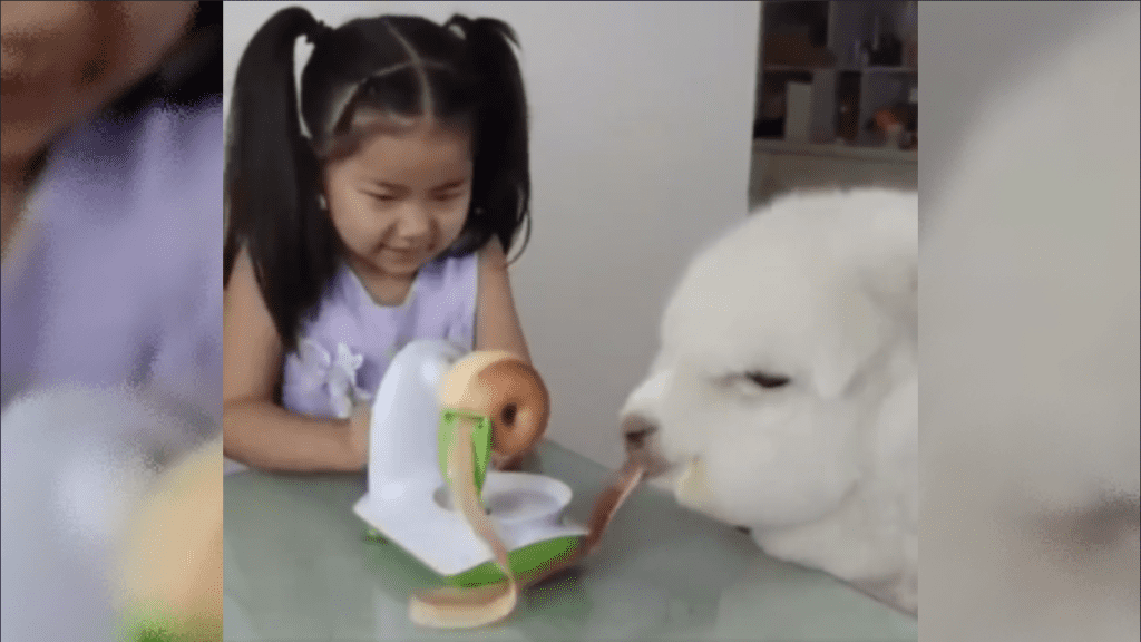 Fruit-By-The-foot Alpaca Savours Apple Peelings in Viral Video