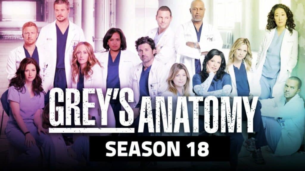 Greye Anatomy Cover with Cast