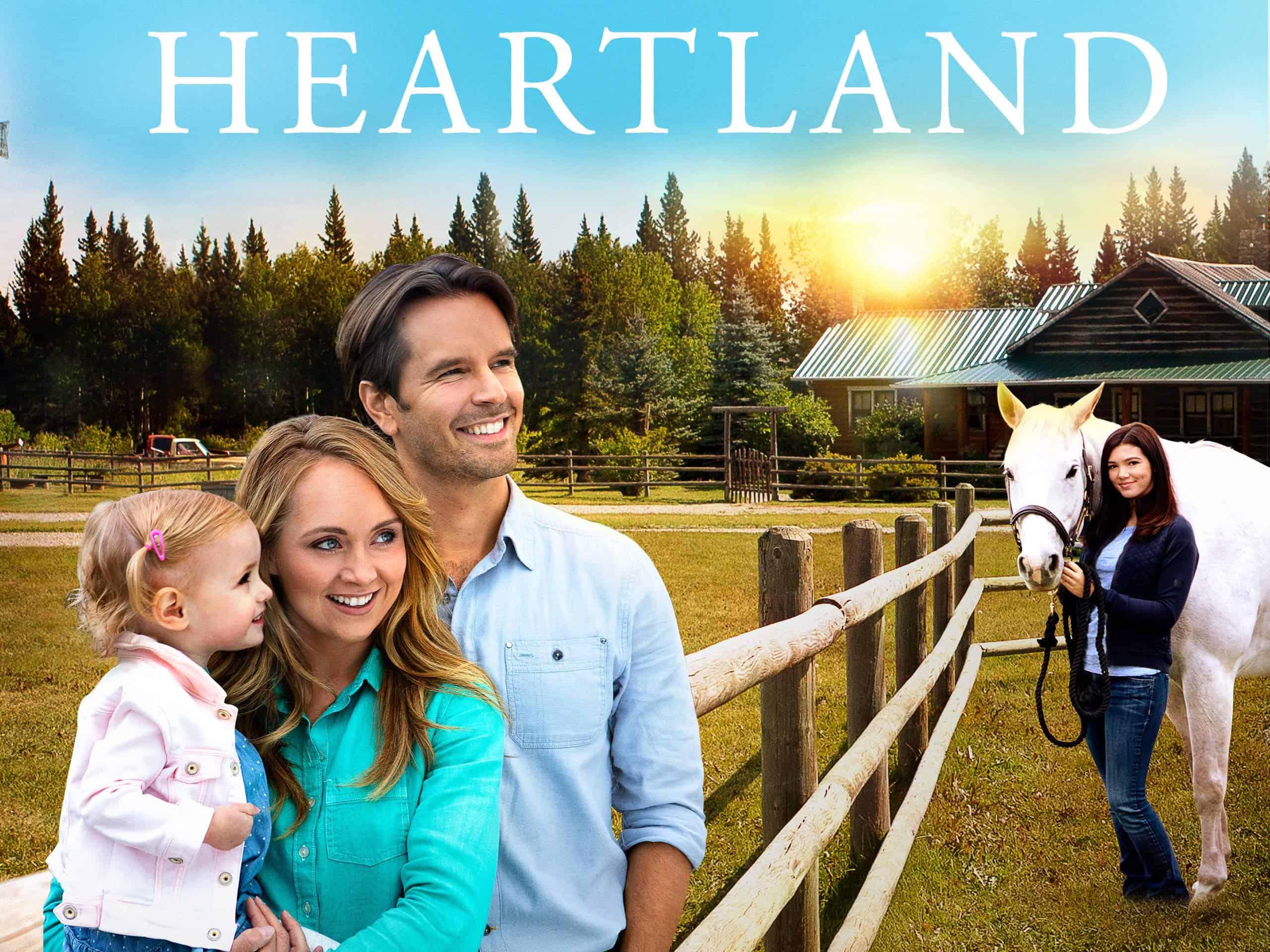 What Happened To Ty On Heartland A Comprehensive Guide