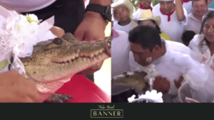 Mexican Mayor Ties A Knot With Alligator Dressed As A Bride. In A Centuries_Old Ritual