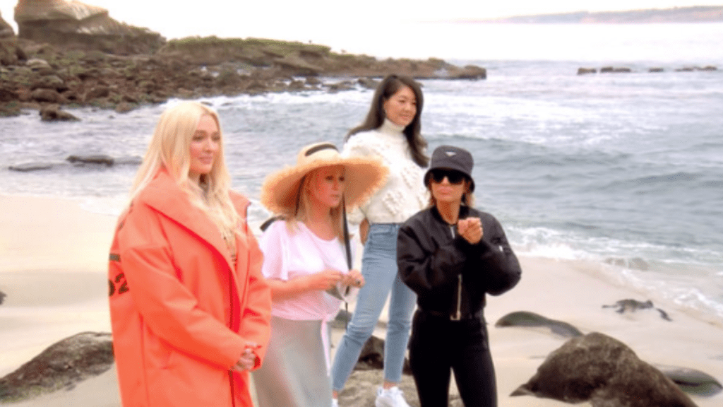 RHOBH S11 - housewives picnic on the beach