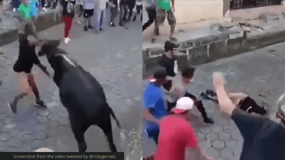 Bull_stomps_on_a_man's_face_1