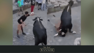 Horrifying Viral Video Shows A Bull Aggressively Attacks And Stomps On A Man’s Face