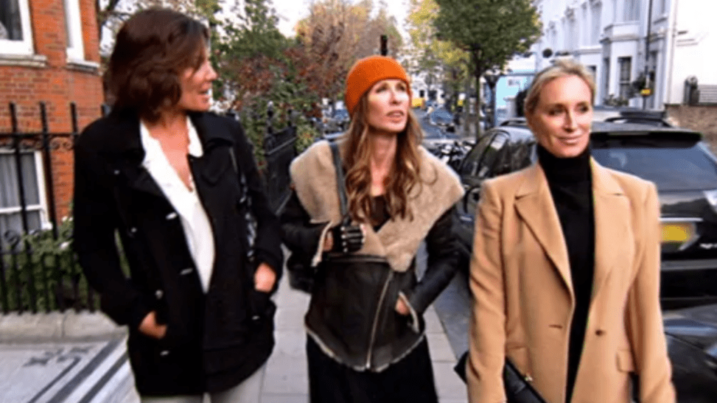 RHONY S5 - housewives in London