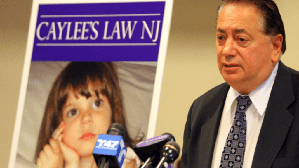 Caylee's Law has been passed in various US states