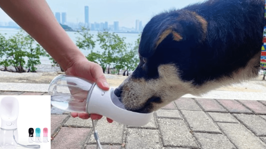 COFOETLN Dog Water Bottle, 12 oz