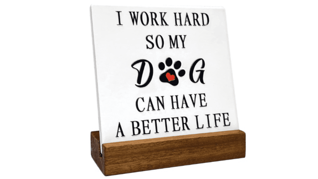 QiCHo Inspirational Sign For Desk With Wooden Stand