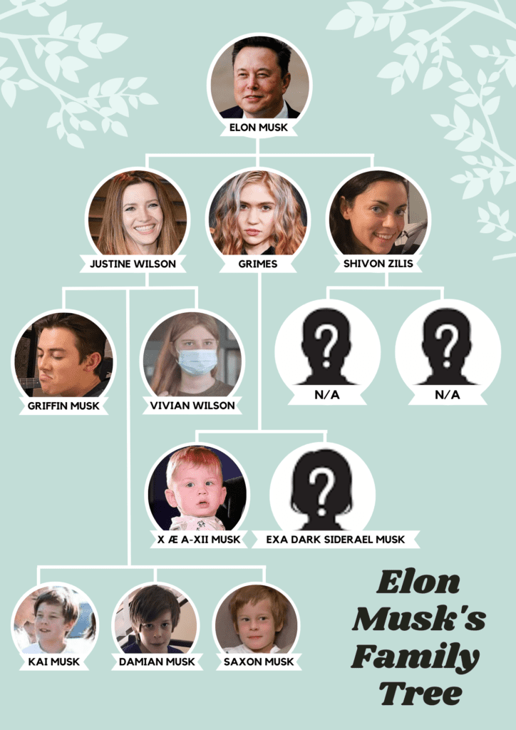 The Growing Family Tree Of Elon Musk - The New York Banner