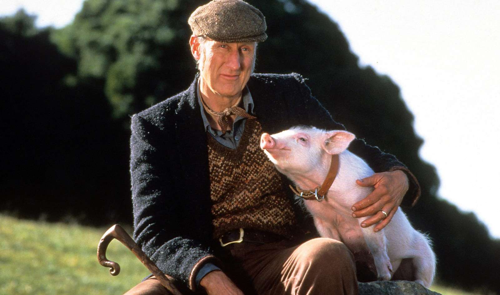 James Cromwell stars in "Babe"