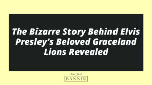 The Bizarre Story Behind Elvis Presley’s Beloved Graceland Lions Revealed