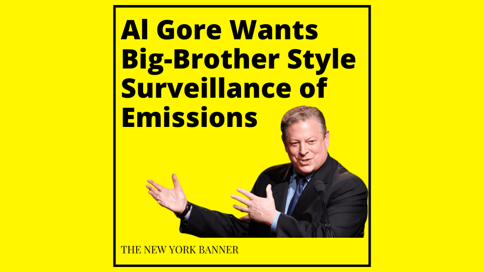Al Gore Suggests Surveillance of Emissions
