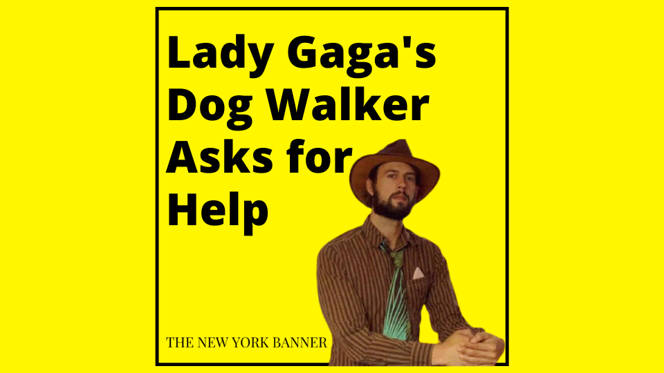 Lady Gaga's Dog Walker Asks for Help